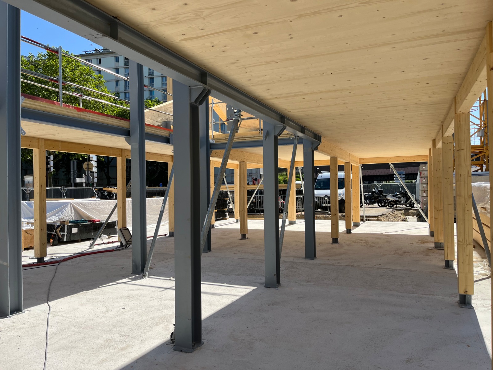 Notre volonté Norma